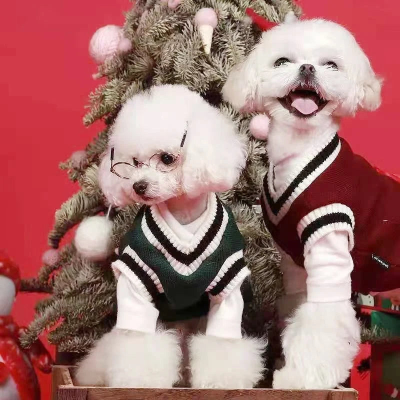 Pull Chaud Col V pour Chien